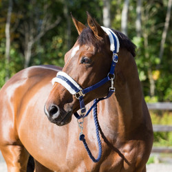 Cabezada Howard Crescendo Horze Cabezada Howard Crescendo Horze