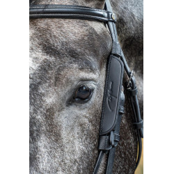 Montantes Focus Dy'on Montantes Focus Dy'on
