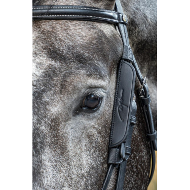 Montantes Focus Dy'on Montantes Focus Dy'on