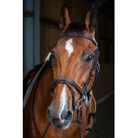 Montantes Focus Dy'on Castaño Marrón