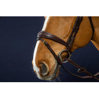 Brida Muserola Combinada Anatómica Dy'on D Collection Castaño Marrón