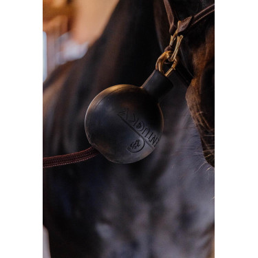 Bola de protección de enganche Kentucky Bola de protección de enganche Kentucky