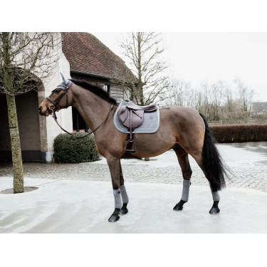 Bandas de polo Polar Fleece Basic Velvet Kentucky Bandas de polo Polar Fleece Basic Velvet Kentucky