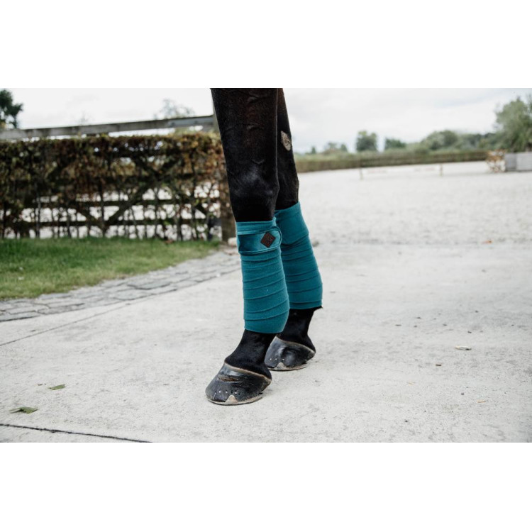 Bandas de polo Polar Fleece Velvet Kentucky