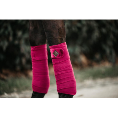 Bandas de polo Polar Fleece Velvet Kentucky Fucsia Rosa Bandas de polo Polar Fleece Velvet Kentucky Fucsia Rosa