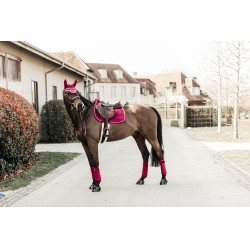 Bandas de polo Polar Fleece Velvet Kentucky Fucsia Rosa Bandas de polo Polar Fleece Velvet Kentucky Fucsia Rosa