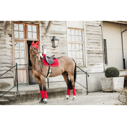Bandas de polo Polar Fleece Velvet Kentucky Roja Rojo Bandas de polo Polar Fleece Velvet Kentucky Roja Rojo