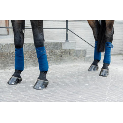 Vendas de polo Polar Fleece Velvet Pearls Kentucky