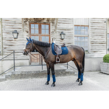 Vendas de polo Polar Fleece Velvet Pearls Kentucky Vendas de polo Polar Fleece Velvet Pearls Kentucky