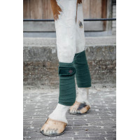 Vendas de polo Polar Fleece Velvet Pearls Kentucky Verde abeto