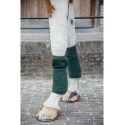 Vendas de polo Polar Fleece Velvet Pearls Kentucky Verde abeto