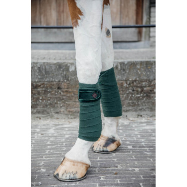 Vendas de polo Polar Fleece Velvet Pearls Kentucky Verde abeto