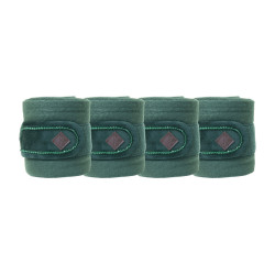Vendas de polo Polar Fleece Velvet Pearls Kentucky Verde abeto