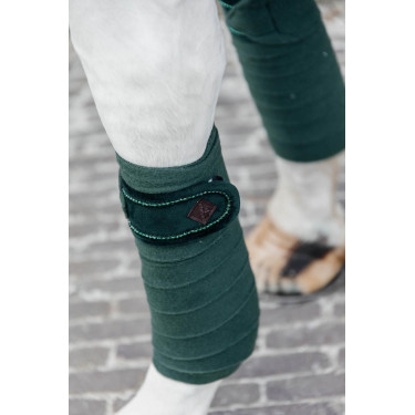 Vendas de polo Polar Fleece Velvet Pearls Kentucky Verde abeto Vendas de polo Polar Fleece Velvet Pearls Kentucky Verde abeto