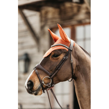 new Naranja new Naranja