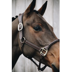 Cabezada Anatómica de Cuero Kentucky Castaño Marrón