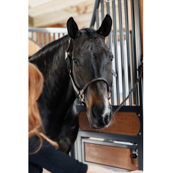 Cabezada Anatómica de Cuero Kentucky Castaño Marrón