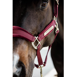 new Burdeos new Burdeos