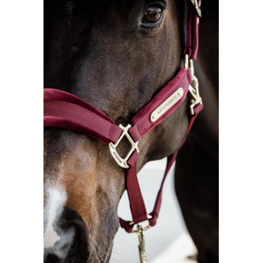 Cabezada Velvet Kentucky Cabezada Velvet Kentucky