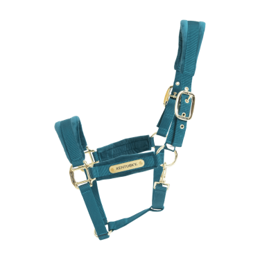 Cabezada Velvet Kentucky Esmeralda Verde Cabezada Velvet Kentucky Esmeralda Verde