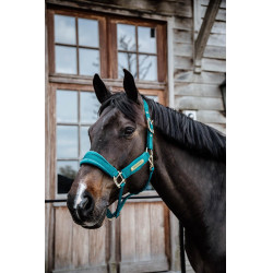 Cabezada Velvet Kentucky Esmeralda Verde Cabezada Velvet Kentucky Esmeralda Verde