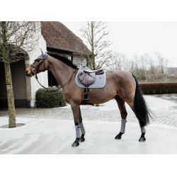 Mantilla Basic Velvet jumping Kentucky