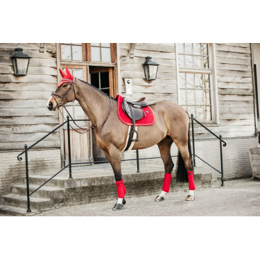 Silla de montar Velvet jumping Kentucky Silla de montar Velvet jumping Kentucky