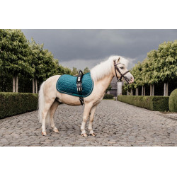 Silla de montar Velvet jumping Kentucky Esmeralda Verde Silla de montar Velvet jumping Kentucky Esmeralda Verde