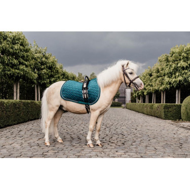Silla de montar Velvet jumping Kentucky Esmeralda Verde Silla de montar Velvet jumping Kentucky Esmeralda Verde