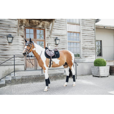 Almohadilla de salto Velvet Pearls Kentucky Almohadilla de salto Velvet Pearls Kentucky