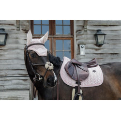 new Rosa pálido new Rosa pálido