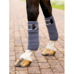 Vendas de polo Loire LeMieux Arrendajo azul