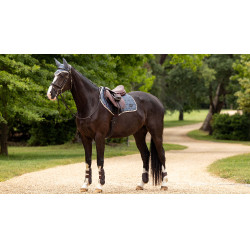 Mantilla LeMieux Loire Classic Close Contact Square Mantilla LeMieux Loire Classic Close Contact Square