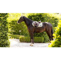 Mantilla LeMieux Loire Classic Close Contact Square Helecho