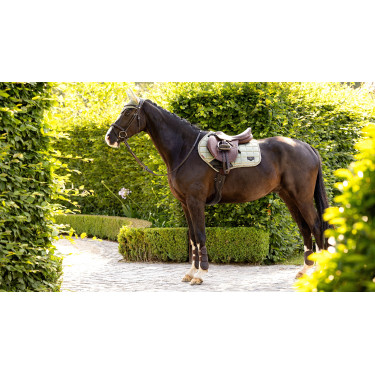 Mantilla LeMieux Loire Classic Close Contact Square