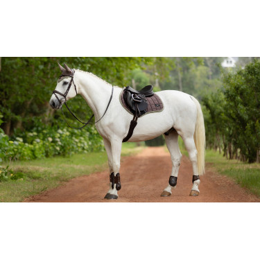 Mantilla LeMieux Loire Classic Close Contact Square Nuez Marrón