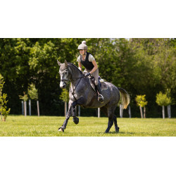 Mantilla LeMieux Loire Classic GP Square Nuez Marrón Mantilla LeMieux Loire Classic GP Square Nuez Marrón