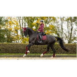 Alfombra LeMieux Crystal Suede Dressage