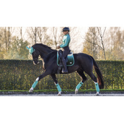 Mantilla LeMieux Spectrum Dressage Square