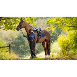 Mantilla LeMieux Spectrum Dressage Square