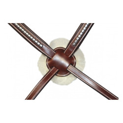 Cabezada mejicana Lexington Tucson