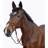 Cabezada cierraboca...