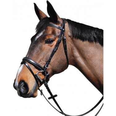 Cabezada Lexington Pull Back Boston Cabezada Lexington Pull Back Boston