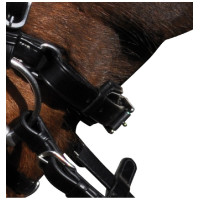 Cabezada Lexington Pull...