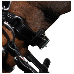 Cabezada Lexington Pull Back Boston