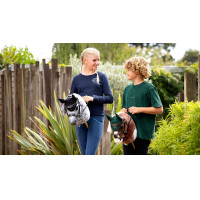 Brida Grackle LeMieux para Hobby Horse Castaño Marrón