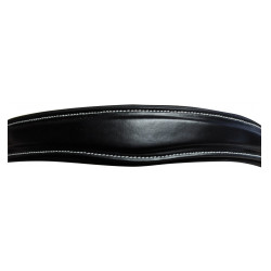 Brida Lexington Pull Back Michigan