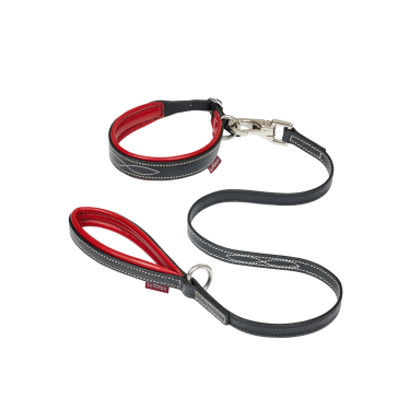 Collar y correa para cachorro LeMieux Toy Collar y correa para cachorro LeMieux Toy