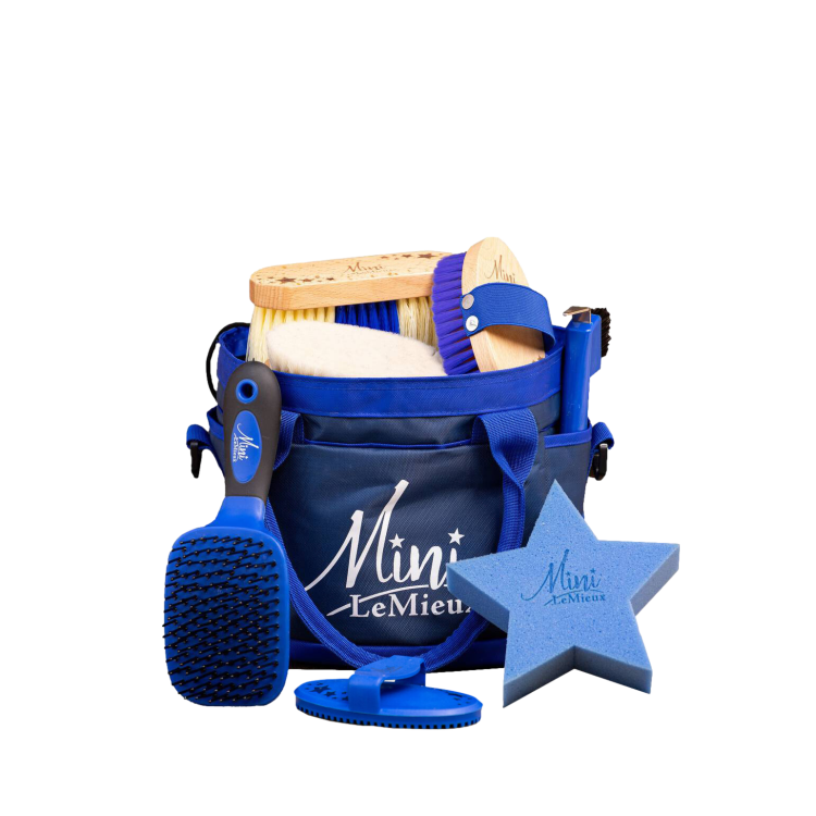 Kit de limpieza Mini LeMieux para niños