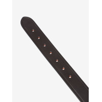 Testera de repuesto para... Testera de repuesto para...